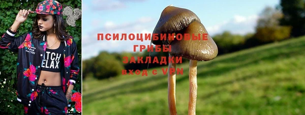MDMA Premium VHQ Богородицк