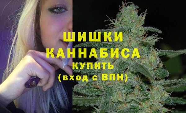 амф Богданович