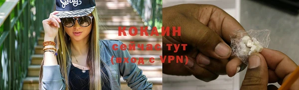 mix Белокуриха