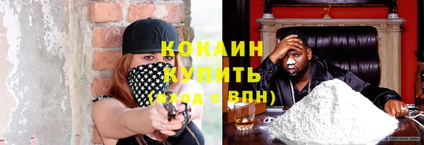 дмт Богородск