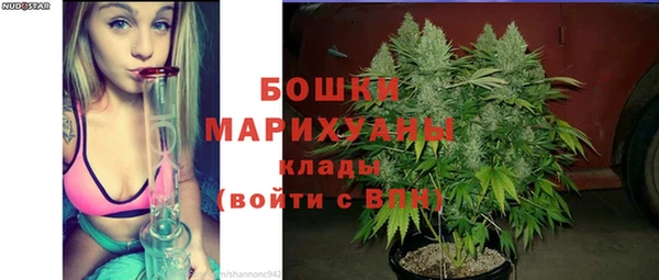 дмт Богородск